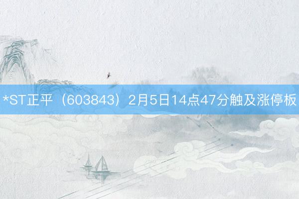 *ST正平（603843）2月5日14点47分触及涨停板