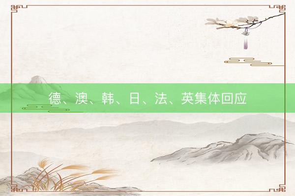 德、澳、韩、日、法、英集体回应
