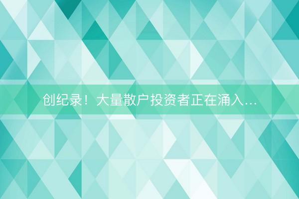 创纪录！大量散户投资者正在涌入…