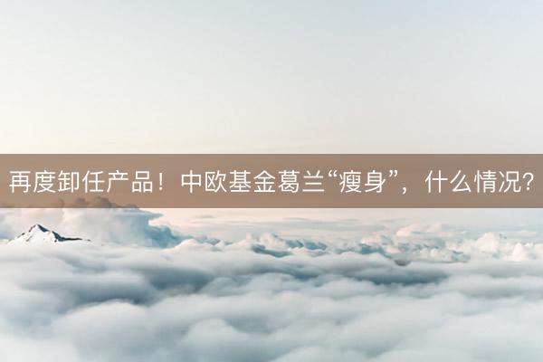 再度卸任产品！中欧基金葛兰“瘦身”，什么情况？