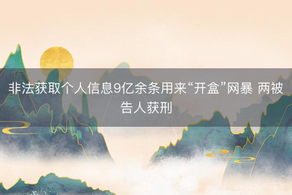 非法获取个人信息9亿余条用来“开盒”网暴 两被告人获刑