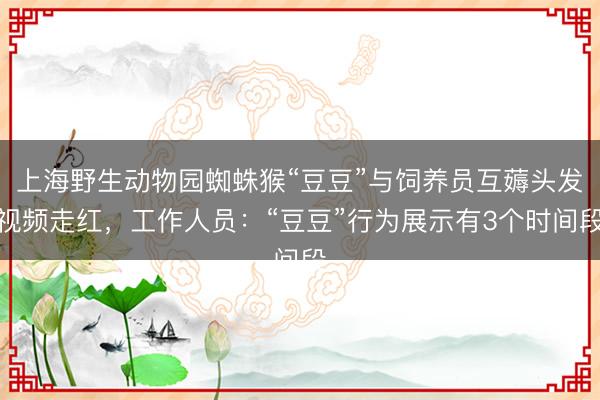 上海野生动物园蜘蛛猴“豆豆”与饲养员互薅头发视频走红，工作人员：“豆豆”行为展示有3个时间段
