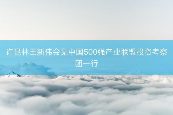 许昆林王新伟会见中国500强产业联盟投资考察团一行