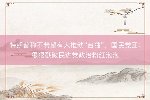 特朗普称不希望有人推动“台独”，国民党团：狠狠戳破民进党政治粉红泡泡