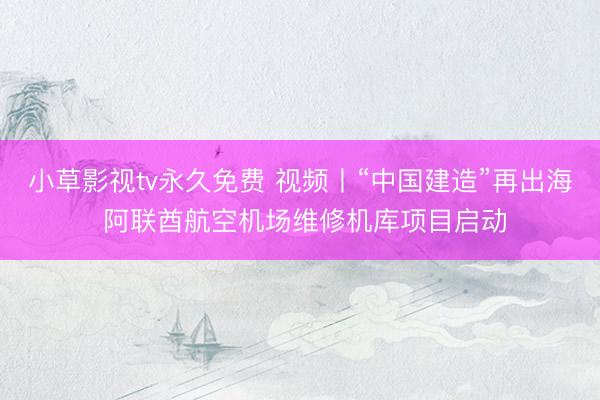 小草影视tv永久免费 视频丨“中国建造”再出海 阿联酋航空机场维修机库项目启动