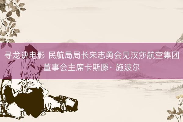 寻龙诀电影 民航局局长宋志勇会见汉莎航空集团董事会主席卡斯滕· 施波尔