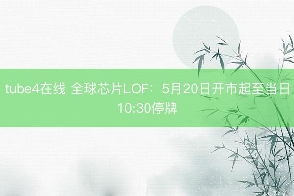 tube4在线 全球芯片LOF：5月20日开市起至当日10:30停牌