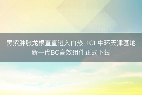 黑紫肿胀龙根直直进入白热 TCL中环天津基地新一代BC高效组件正式下线