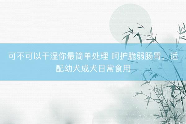 可不可以干湿你最简单处理 呵护脆弱肠胃，适配幼犬成犬日常食用