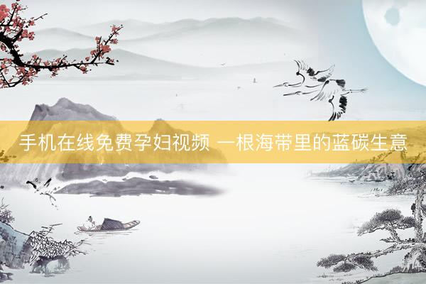 手机在线免费孕妇视频 一根海带里的蓝碳生意