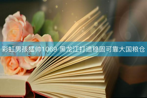彩虹男孩猛帅1069 黑龙江打造稳固可靠大国粮仓