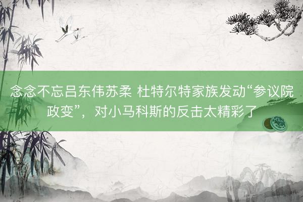 念念不忘吕东伟苏柔 杜特尔特家族发动“参议院政变”，对小马科斯的反击太精彩了