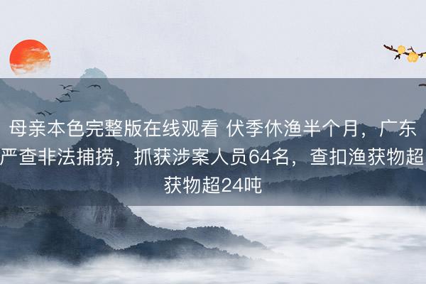 母亲本色完整版在线观看 伏季休渔半个月，广东海警严查非法捕捞，抓获涉案人员64名，查扣渔获物超24吨