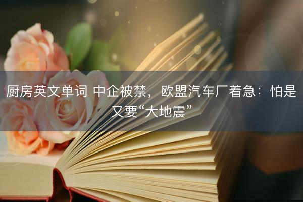 厨房英文单词 中企被禁，欧盟汽车厂着急：怕是又要“大地震”