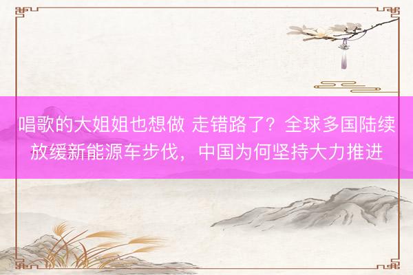 唱歌的大姐姐也想做 走错路了？全球多国陆续放缓新能源车步伐，中国为何坚持大力推进