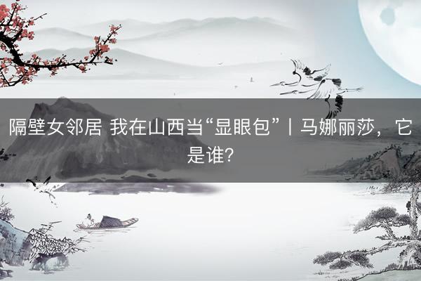 隔壁女邻居 我在山西当“显眼包”丨马娜丽莎，它是谁？