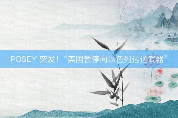 POSEY 突发！“美国暂停向以色列运送武器”