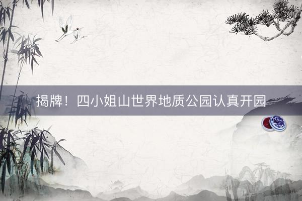 揭牌！四小姐山世界地质公园认真开园