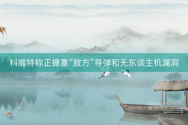 科威特称正搪塞“敌方”导弹和无东谈主机漏洞
