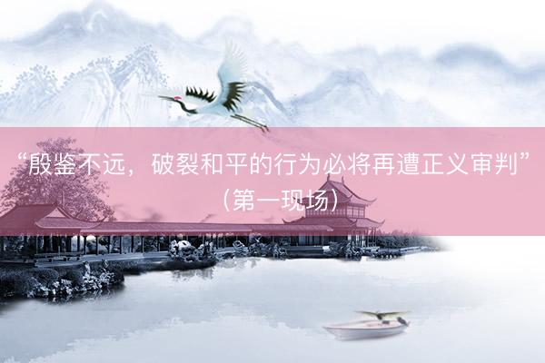“殷鉴不远，破裂和平的行为必将再遭正义审判”（第一现场）