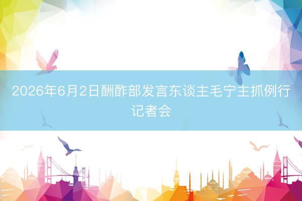 2026年6月2日酬酢部发言东谈主毛宁主抓例行记者会