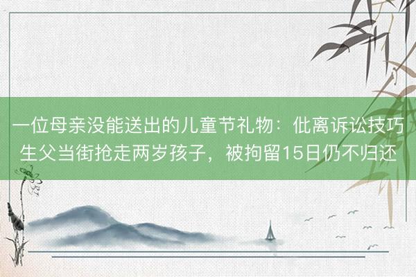 一位母亲没能送出的儿童节礼物：仳离诉讼技巧生父当街抢走两岁孩子，被拘留15日仍不归还