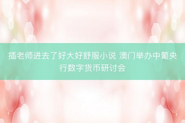 插老师进去了好大好舒服小说 澳门举办中葡央行数字货币研讨会