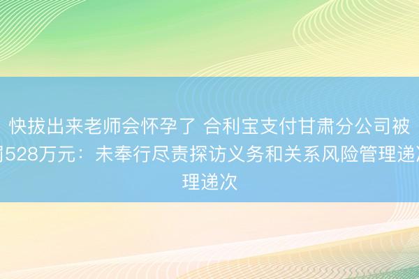 快拔出来老师会怀孕了 合利宝支付甘肃分公司被罚528万元：未奉行尽责探访义务和关系风险管理递次