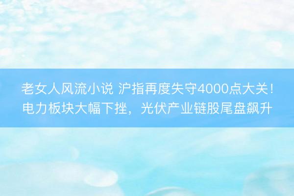老女人风流小说 沪指再度失守4000点大关!电力板块大幅下挫,光伏产业链股尾盘飙升