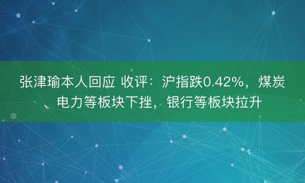张津瑜本人回应 收评：沪指跌0.42%，煤炭、电力等板块下挫，银行等板块拉升