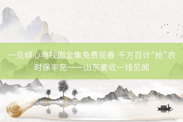 一见倾心电视剧全集免费观看 千方百计“抢”农时保丰充——山东麦收一线见闻