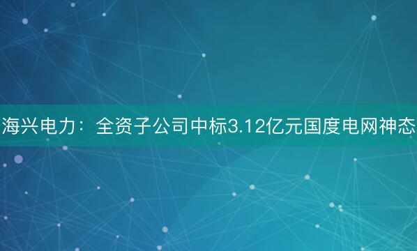 海兴电力：全资子公司中标3.12亿元国度电网神态